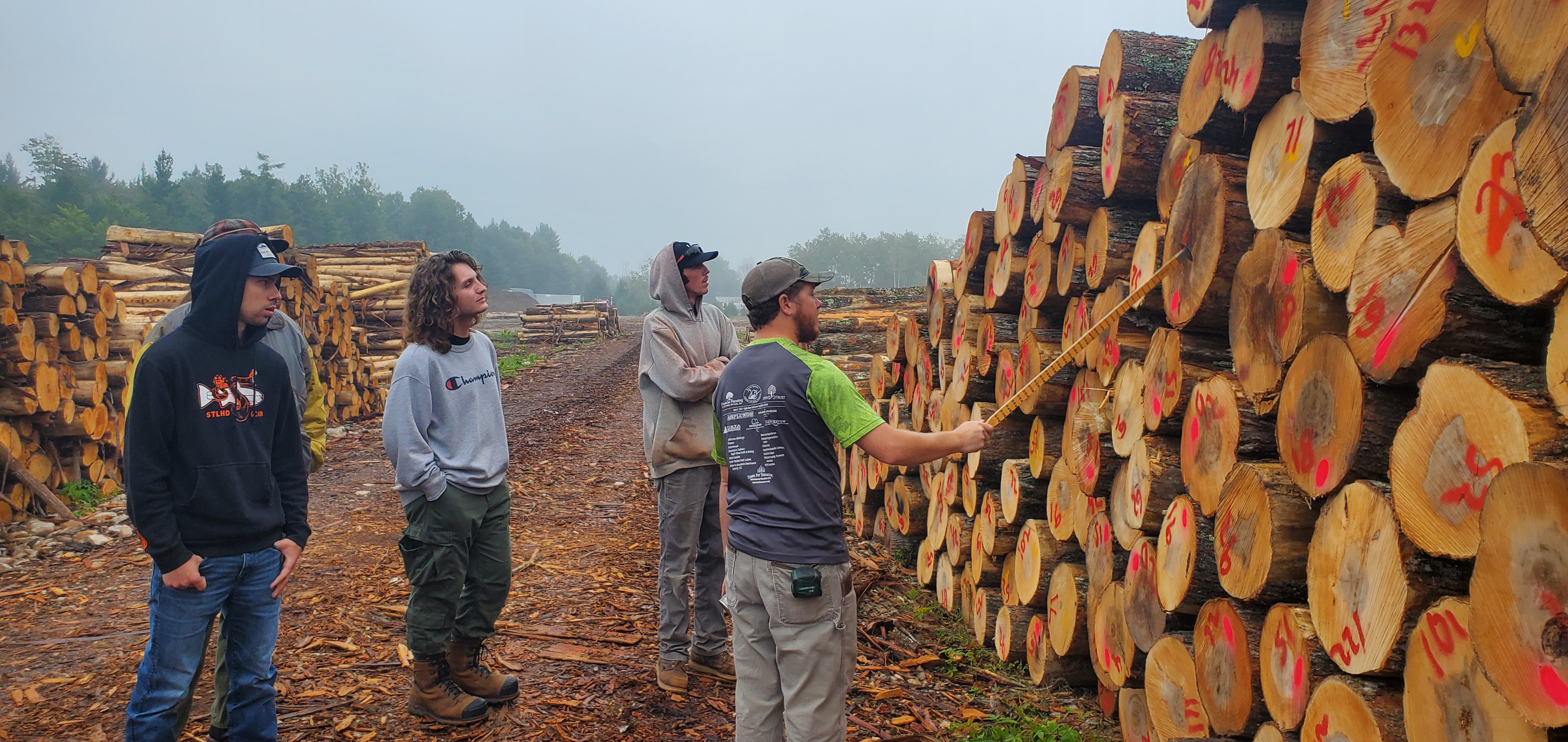 Logging piles.jpg